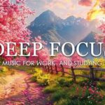 Top Music Playlists That Improve Concentration