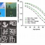Tambakbet Explains How Environment Shapes Focus Ability